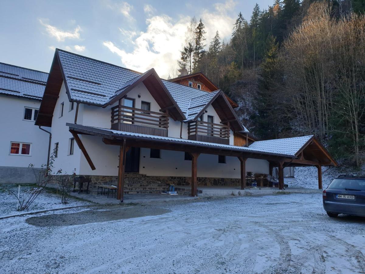 Pensiunea Cheile Repezii Borşa Exterior foto