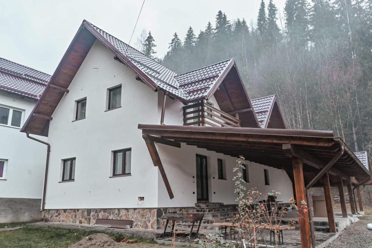 Pensiunea Cheile Repezii Borşa Exterior foto