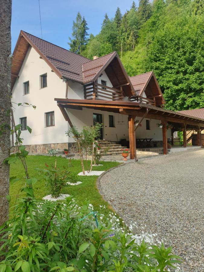 Pensiunea Cheile Repezii Borşa Exterior foto