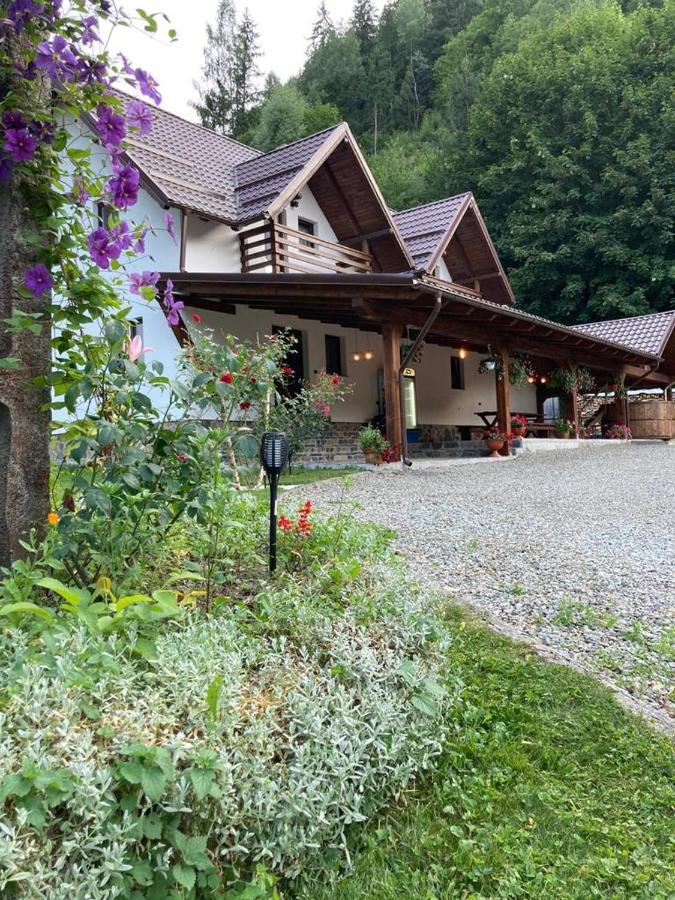 Pensiunea Cheile Repezii Borşa Exterior foto